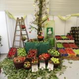 Jahrada - Jablko roka 2015