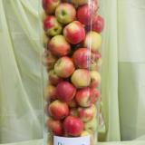 Jablkové hodovanie 2013