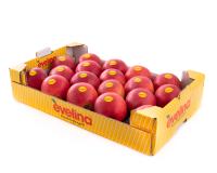 Evelina 4kg