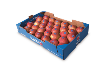 Fuji KIKU 6,5kg