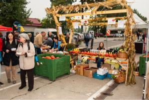 JABLKOVÉ HODOVANIE 2015
