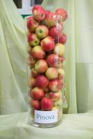 Jablkové hodovanie 2013